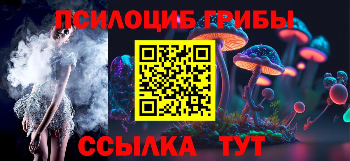 Псилоцибиновые грибы Magic Shrooms  Галлюциногенные грибы GOLDEN TEACHER  Орехово-Зуево  Вход с VPN 