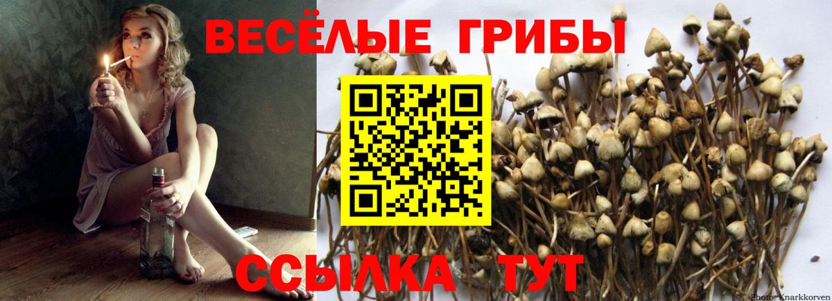 Галлюциногенные грибы прущие грибы Орехово-Зуево